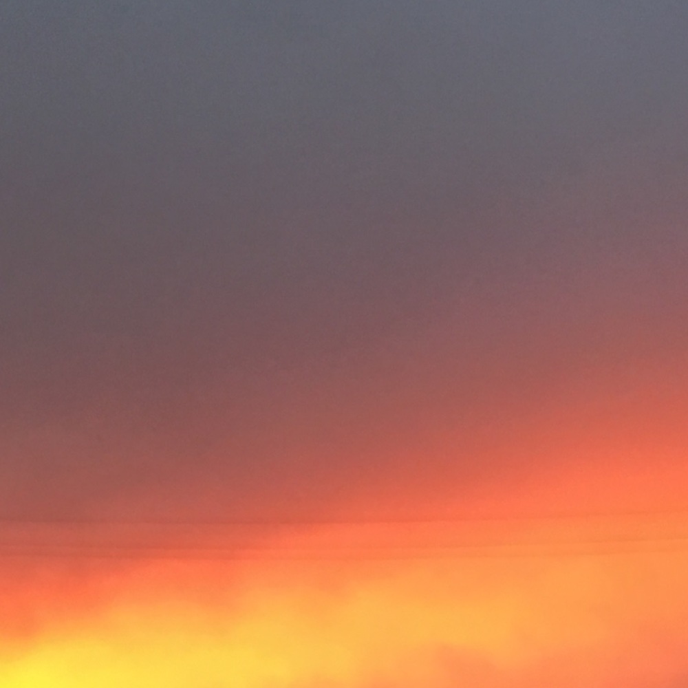 Meet your Posher, Kylee